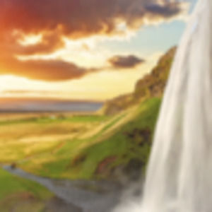 Meet your Posher, Angus